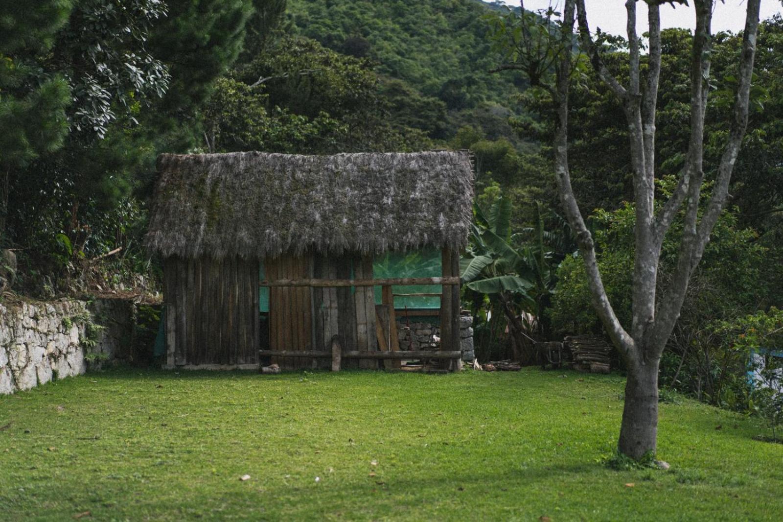 Lucmabamba Lodge Santa Teresa  Extérieur photo
